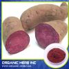 food grade purple sweet potato pigment powder